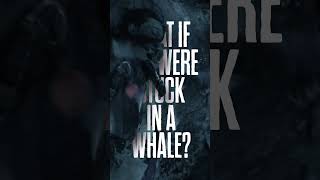 what would you do to get out? - előzetes eredeti nyelven