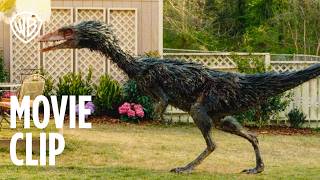 Dinosaur In The Backyard - Movie Clip - előzetes eredeti nyelven