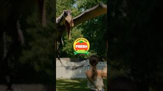 The whole neighborhood is Certified Fresh. - előzetes eredeti nyelven