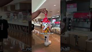 Grab the Marshall to your Chase, because PAW Patrol is coming to cinemas TOMORROW! - előzetes eredeti nyelven