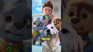 Real Dog Reaction - előzetes eredeti nyelven